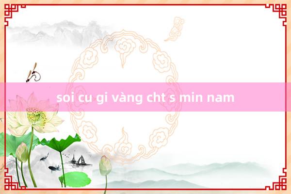 soi cu gi vàng cht s min nam