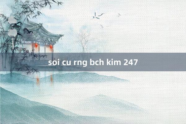 soi cu rng bch kim 247