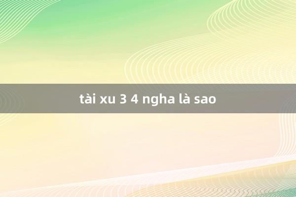 tài xu 3 4 ngha là sao