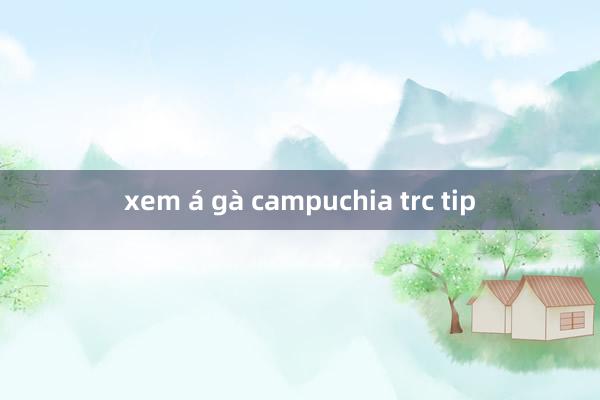 xem á gà campuchia trc tip