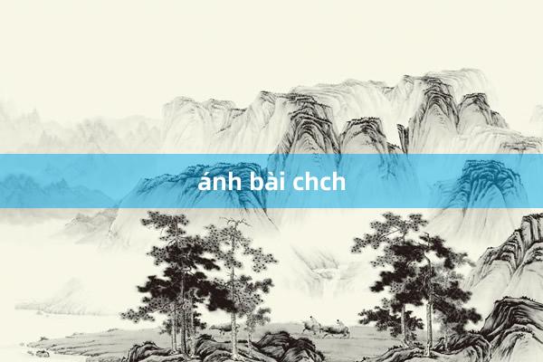 ánh bài chch