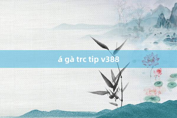 á gà trc tip v388