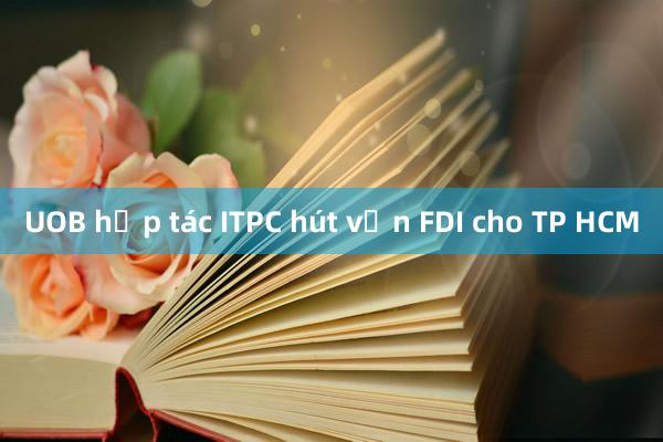 UOB hợp tác ITPC hút vốn FDI cho TP HCM