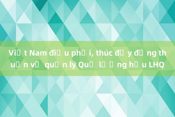 Việt Nam điều phối， thúc đẩy đồng thuận về quản lý Quỹ lương hưu LHQ