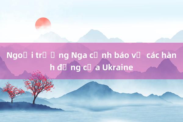 Ngoại trưởng Nga cảnh báo về các hành động của Ukraine