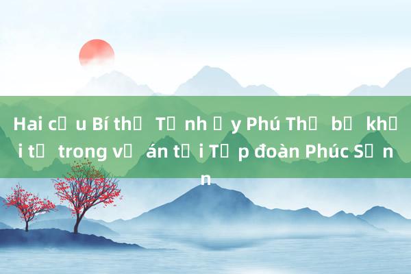 Hai cựu Bí thư Tỉnh ủy Phú Thọ bị khởi tố trong vụ án tại Tập đoàn Phúc Sơn