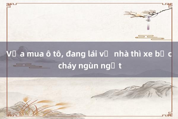 Vừa mua ô tô， đang lái về nhà thì xe bốc cháy ngùn ngụt