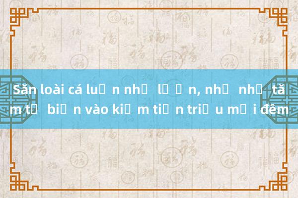 Săn loài cá luồn như lươn， nhỏ như tăm từ biển vào kiếm tiền triệu mỗi đêm