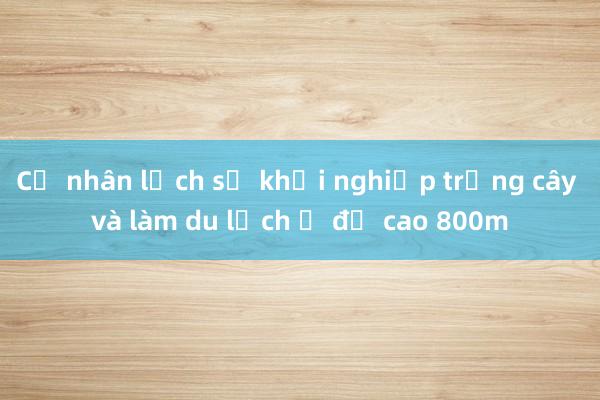 Cử nhân lịch sử khởi nghiệp trồng cây và làm du lịch ở độ cao 800m