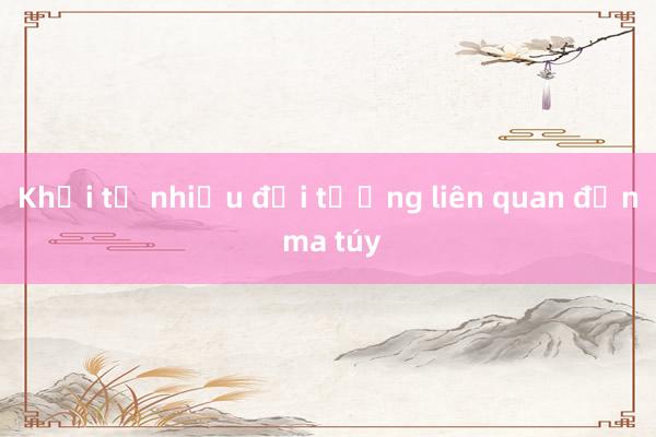 Khởi tố nhiều đối tượng liên quan đến ma túy