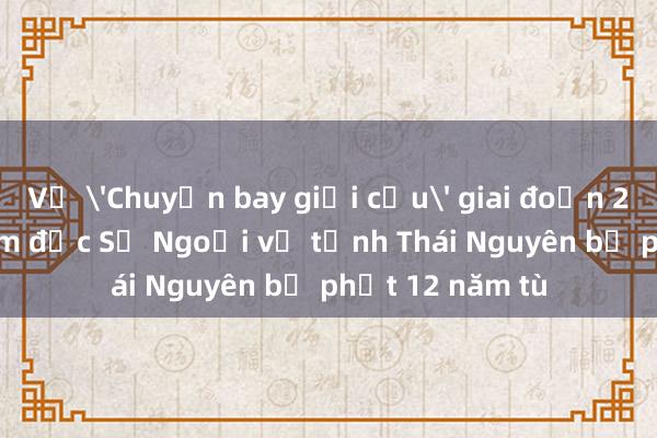 Vụ 'Chuyến bay giải cứu' giai đoạn 2: Cựu Phó Giám đốc Sở Ngoại vụ tỉnh Thái Nguyên bị phạt 12 năm tù