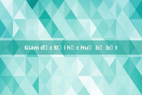 Giám đốc Đại học Huế bị bắt